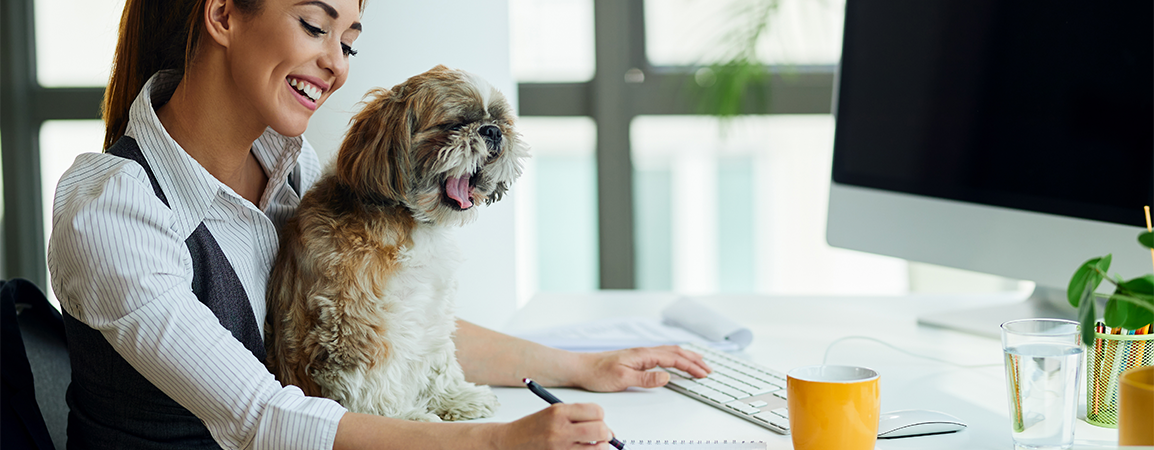 Profesional veterinaria gestionando la contabilidad de su clínica con OkVet